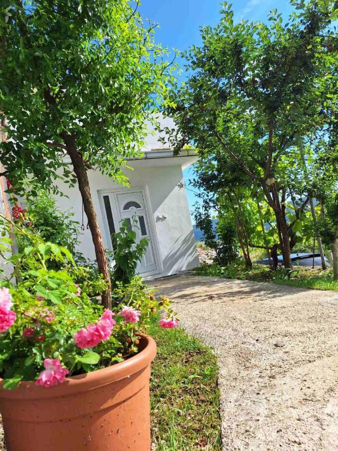 Apartman Glorija Κότορ Εξωτερικό φωτογραφία