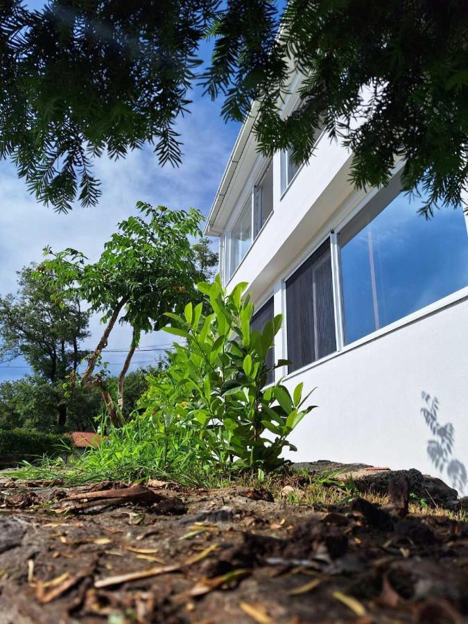 Apartman Glorija Κότορ Εξωτερικό φωτογραφία